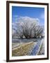 Hoar Frost, Oturehua, South Island, New Zealand-David Wall-Framed Photographic Print