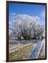 Hoar Frost, Oturehua, South Island, New Zealand-David Wall-Framed Photographic Print