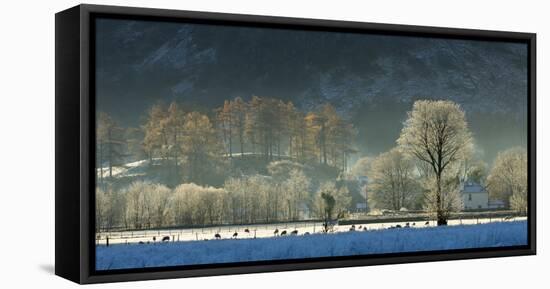 Hoar frost over Stonethwaite village in Borrowdale, Lake District National Park, Cumbria, England, -John Potter-Framed Stretched Canvas