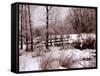 Hoar Frost-Ruth Palmer-Framed Stretched Canvas