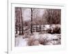 Hoar Frost-Ruth Palmer-Framed Art Print