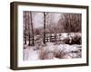 Hoar Frost-Ruth Palmer-Framed Art Print