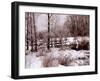 Hoar Frost-Ruth Palmer-Framed Art Print