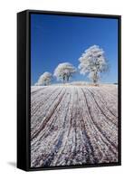 Hoar Frosted Farmland and Trees, Bow, Mid Devon, England. Winter-Adam Burton-Framed Stretched Canvas