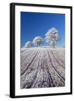 Hoar Frosted Farmland and Trees, Bow, Mid Devon, England. Winter-Adam Burton-Framed Photographic Print