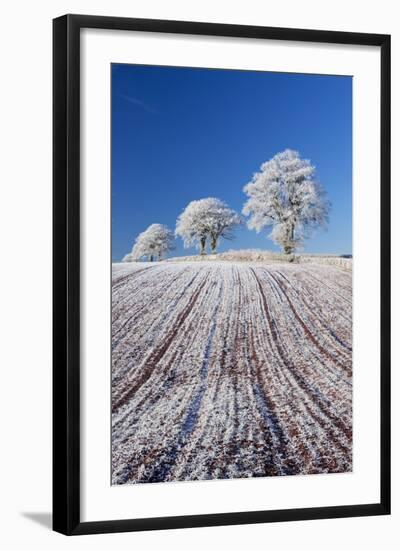 Hoar Frosted Farmland and Trees, Bow, Mid Devon, England. Winter-Adam Burton-Framed Photographic Print