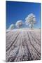 Hoar Frosted Farmland and Trees, Bow, Mid Devon, England. Winter-Adam Burton-Mounted Photographic Print