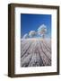 Hoar Frosted Farmland and Trees, Bow, Mid Devon, England. Winter-Adam Burton-Framed Photographic Print