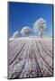 Hoar Frosted Farmland and Trees, Bow, Mid Devon, England. Winter-Adam Burton-Mounted Photographic Print