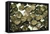 Hoard of Celtic Coins, (some copy Greek originals) found in Hungary, Silver, 1st Century BC-Unknown-Framed Stretched Canvas