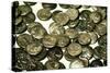 Hoard of Celtic Coins, (some copy Greek originals) found in Hungary, Silver, 1st Century BC-Unknown-Stretched Canvas