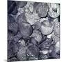 Hoard of silver & Arab coins from a Viking grave, Sweden, 10th century. Artist: Unknown-Unknown-Mounted Giclee Print