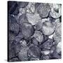 Hoard of silver & Arab coins from a Viking grave, Sweden, 10th century. Artist: Unknown-Unknown-Stretched Canvas