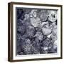 Hoard of silver & Arab coins from a Viking grave, Sweden, 10th century. Artist: Unknown-Unknown-Framed Giclee Print