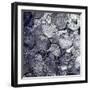 Hoard of silver & Arab coins from a Viking grave, Sweden, 10th century. Artist: Unknown-Unknown-Framed Giclee Print