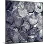 Hoard of silver & Arab coins from a Viking grave, Sweden, 10th century. Artist: Unknown-Unknown-Mounted Giclee Print