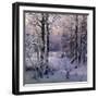 Hoarfrost, 1906-Ivan Velz-Framed Premium Giclee Print