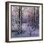 Hoarfrost, 1906-Ivan Velz-Framed Giclee Print