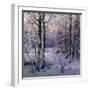 Hoarfrost, 1906-Ivan Velz-Framed Giclee Print