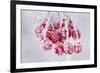 Hoarfrost at Plants in Icy Cold-Wolfgang Filser-Framed Photographic Print