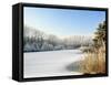Hoarfrost Covered Trees Along Frozen Lake in Winter, Belgium-Philippe Clement-Framed Stretched Canvas