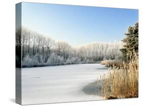 Hoarfrost Covered Trees Along Frozen Lake in Winter, Belgium-Philippe Clement-Stretched Canvas