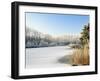 Hoarfrost Covered Trees Along Frozen Lake in Winter, Belgium-Philippe Clement-Framed Photographic Print