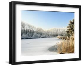 Hoarfrost Covered Trees Along Frozen Lake in Winter, Belgium-Philippe Clement-Framed Photographic Print