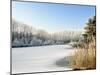 Hoarfrost Covered Trees Along Frozen Lake in Winter, Belgium-Philippe Clement-Mounted Photographic Print