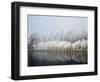 Hoarfrost-covered trees along Mississippi River, Upper Mississippi National Wildlife Refuge, Wis...-Panoramic Images-Framed Photographic Print