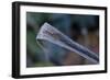 Hoarfrost crystals on dried leaf-Paivi Vikstrom-Framed Photographic Print