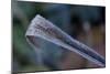 Hoarfrost crystals on dried leaf-Paivi Vikstrom-Mounted Photographic Print