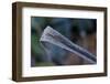 Hoarfrost crystals on dried leaf-Paivi Vikstrom-Framed Photographic Print
