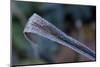 Hoarfrost crystals on dried leaf-Paivi Vikstrom-Mounted Photographic Print