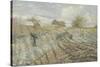 Hoarfrost (Gelée Blanch)-Camille Pissarro-Stretched Canvas