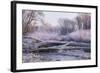 Hoarfrost in the Schwechat, Baden Near Vienna, Austria-Rainer Mirau-Framed Photographic Print