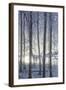 Hoarfrost in the Viennese Wood, Badener Lindkogel, Austria-Rainer Mirau-Framed Photographic Print