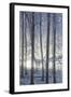 Hoarfrost in the Viennese Wood, Badener Lindkogel, Austria-Rainer Mirau-Framed Photographic Print