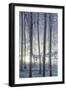 Hoarfrost in the Viennese Wood, Badener Lindkogel, Austria-Rainer Mirau-Framed Photographic Print