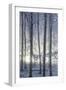 Hoarfrost in the Viennese Wood, Badener Lindkogel, Austria-Rainer Mirau-Framed Photographic Print