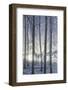 Hoarfrost in the Viennese Wood, Badener Lindkogel, Austria-Rainer Mirau-Framed Photographic Print