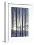 Hoarfrost in the Viennese Wood, Badener Lindkogel, Austria-Rainer Mirau-Framed Photographic Print