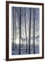 Hoarfrost in the Viennese Wood, Badener Lindkogel, Austria-Rainer Mirau-Framed Photographic Print