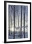 Hoarfrost in the Viennese Wood, Badener Lindkogel, Austria-Rainer Mirau-Framed Photographic Print