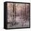 Hoarfrost-Ivan Avgustovich Velz-Framed Stretched Canvas