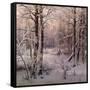 Hoarfrost-Ivan Avgustovich Velz-Framed Stretched Canvas