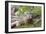 Hoary Marmot, Largest North American Ground Squirrel, Alaska Basin-Howie Garber-Framed Photographic Print