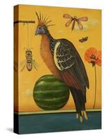 Hoatzin 2-Leah Saulnier-Stretched Canvas