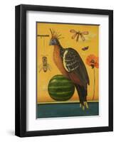 Hoatzin 2-Leah Saulnier-Framed Premium Giclee Print