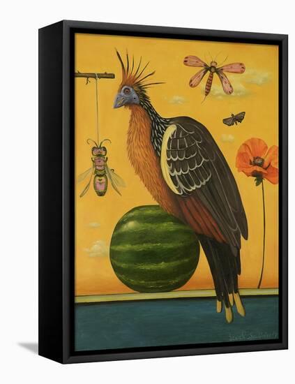 Hoatzin-Leah Saulnier-Framed Stretched Canvas